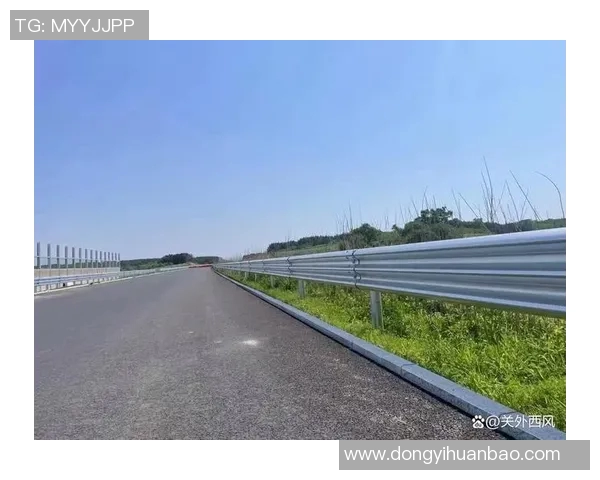 交通护栏的设计与应用探索：保障道路安全与交通流畅的关键因素