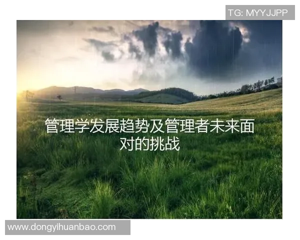 探索竞技体育项目发展趋势与未来挑战的多维度分析与思考