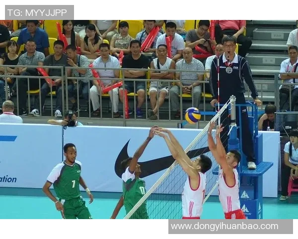 西安排球队战术解析与排球技战术的深度探讨