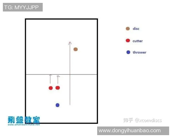 深入分析上海飞盘队独特防守策略与战术执行的全景解读 深入分析上海飞盘队独特防守策略与战术执行的全景解读