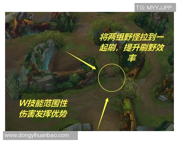 DOTA2战术解析:EDG战队如何构建高效盯防体系以掌控比赛节奏 DOTA2战术解析:EDG战队如何构建高效盯防体系以掌控比赛节奏