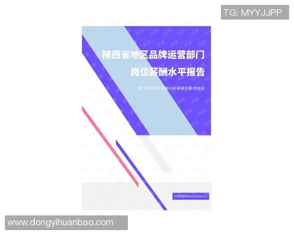 北京足球队运营策略分析及其成败经验总结